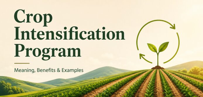 Crop intensification