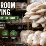 Mushroom Farming