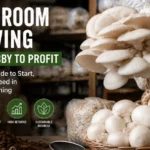 Mushroom Farming