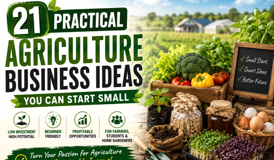 small agriculture business ideas