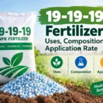 19-19-19 Fertilizer